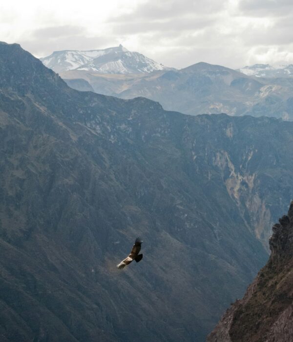 Exploring Peru (12 Days)